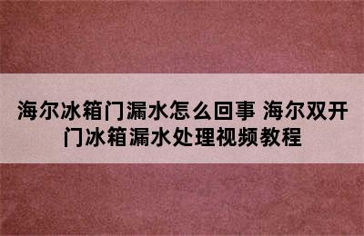 海尔冰箱门漏水怎么回事 海尔双开门冰箱漏水处理视频教程